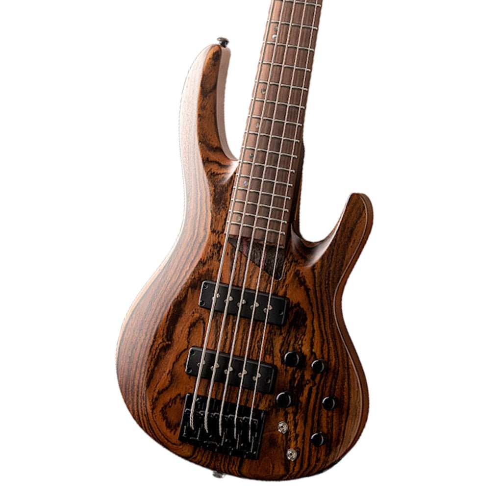 ESP LTD B-1005 Bass Guitar - Natural Satin Bass Guitars Sky Music