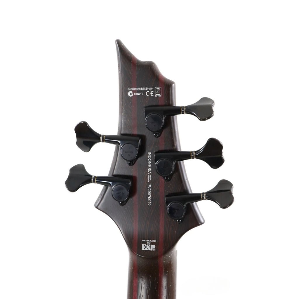 ESP LTD B-1005 Bass Guitar - Natural Satin Bass Guitars Sky Music