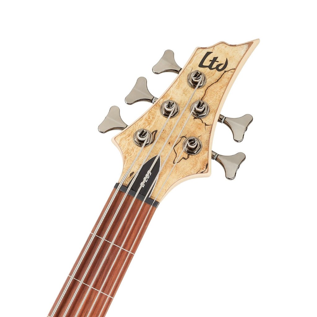 ESP LTD B-205SM 5-String Fretless Bass Guitar - Natural Satin Bass Guitars Sky Music
