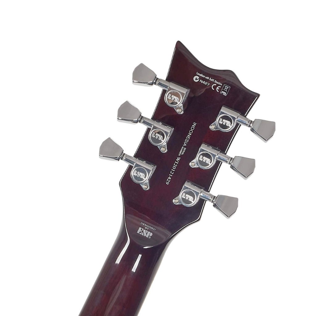 ESP LTD EC-256FM Electric Guitar - Dark Brown Sunburst Electric Guitars Sky Music