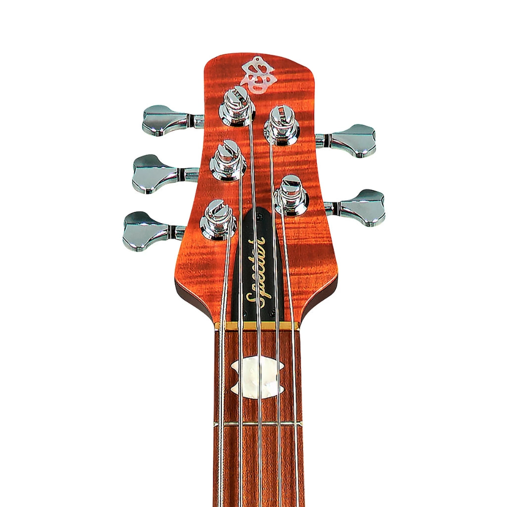 Spector - Euro 5 Roasted Bass Guitar - Sienna Stain