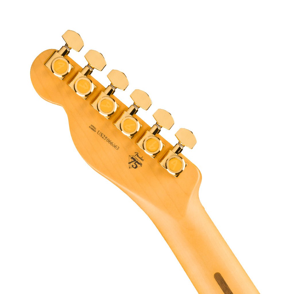 Fender 75th Anniversary American Professional Custom Telecaster Maple Fingerboard - 2-Color Sunburst Electric Guitars Sky Music