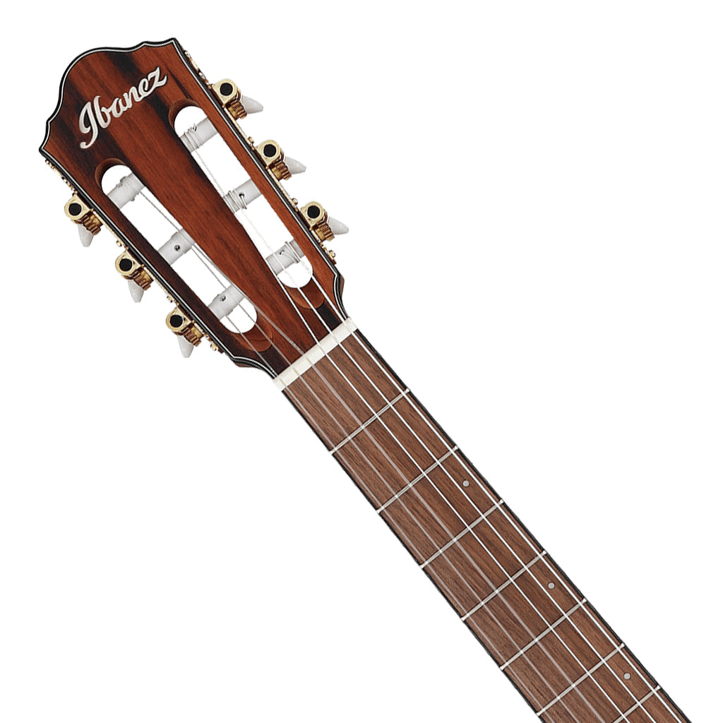 Ibanez - FRH10N Flat Left Handed Nylon String Guitar - Brown Sunburst