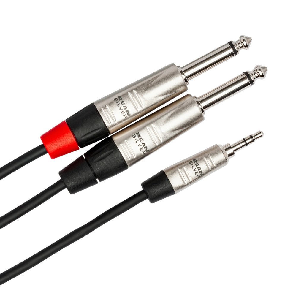 Hosa Technology REAN 3.5 mm TRS to Dual 1/4 in TS Pro Stereo Breakout Cable 10ft Cables Sky Music