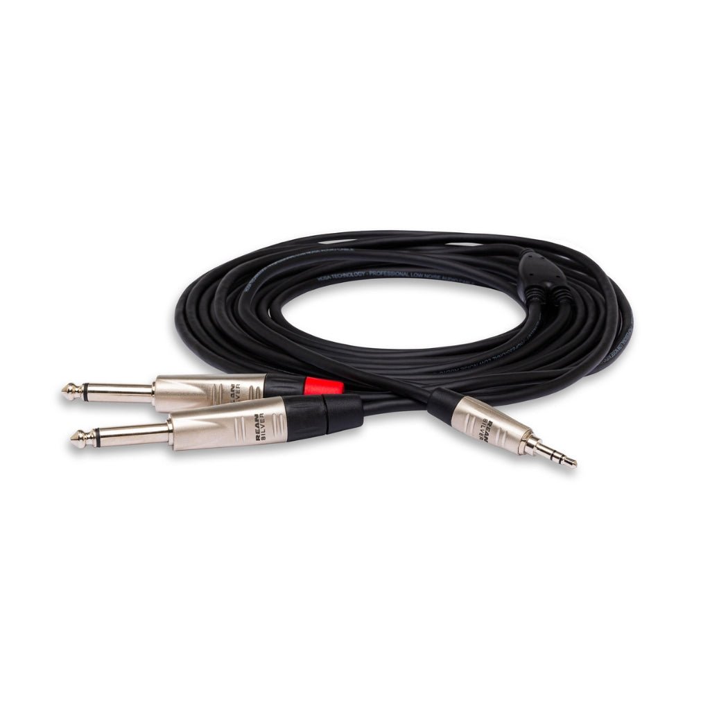 Hosa Technology REAN 3.5 mm TRS to Dual 1/4 in TS Pro Stereo Breakout Cable 10ft Cables Sky Music