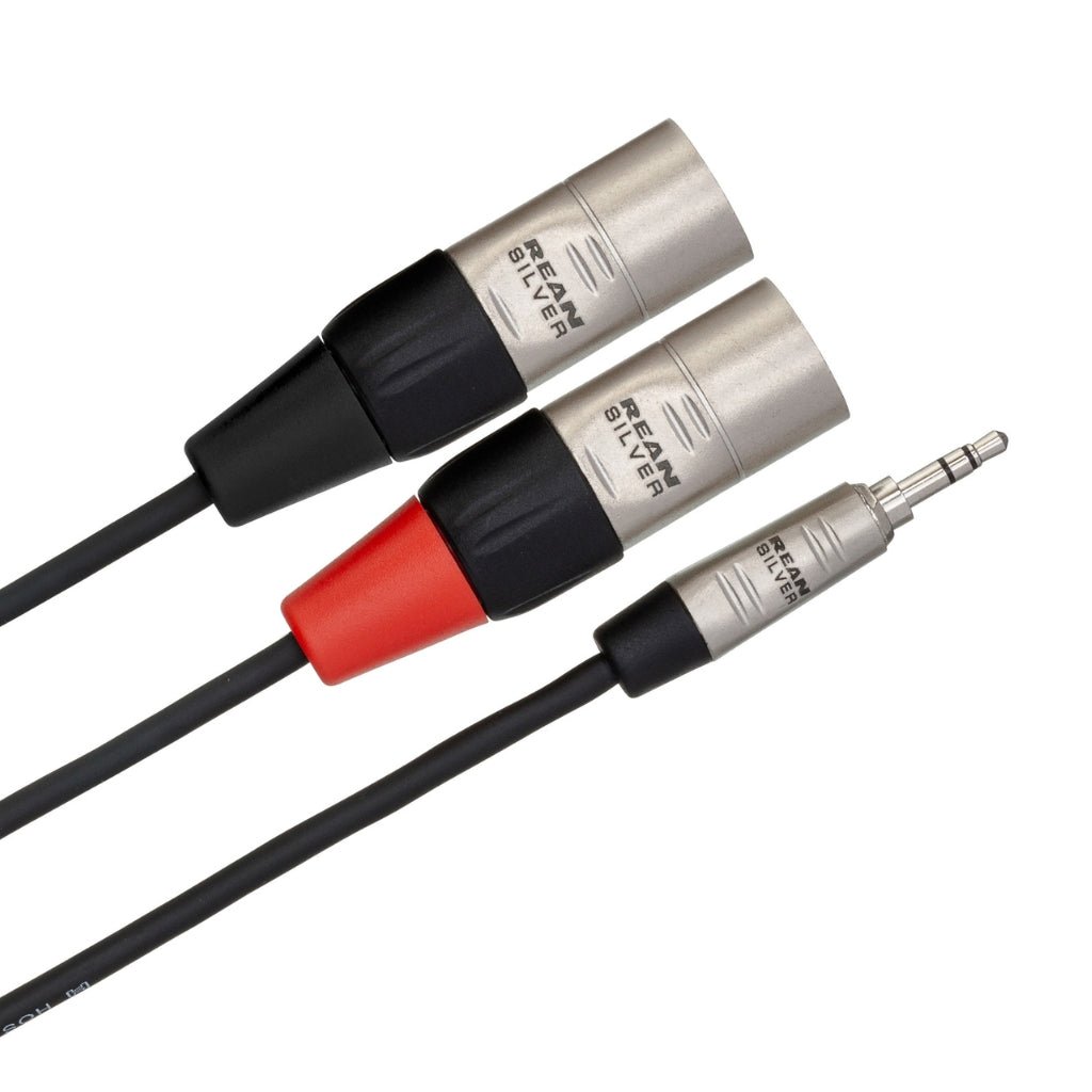 Hosa Technology REAN 3.5 mm TRS to Dual XLR3M Pro Stereo Breakout Cable 6ft Cables Sky Music