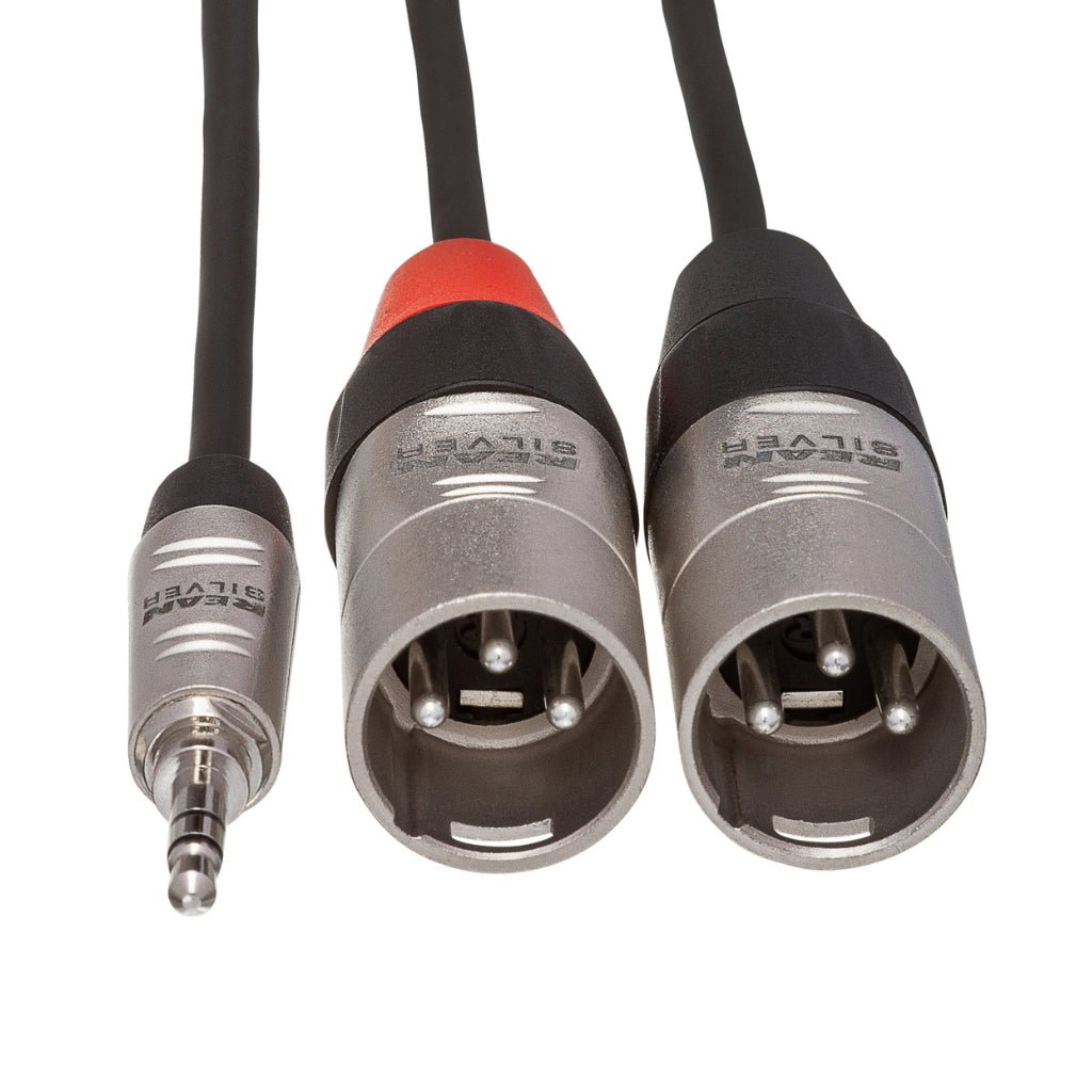 Hosa Technology REAN 3.5 mm TRS to Dual XLR3M Pro Stereo Breakout Cable 6ft Cables Sky Music