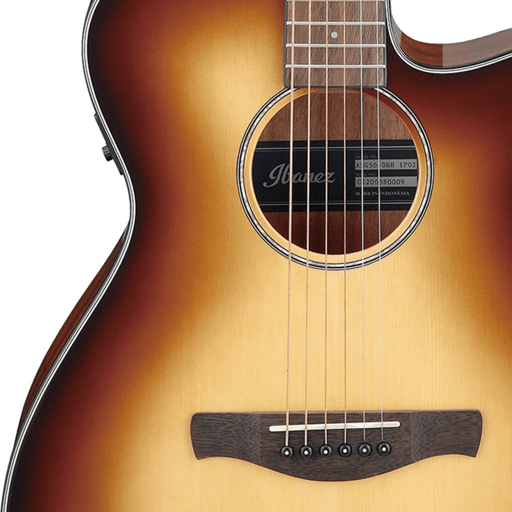 Ibanez AEG50 DHH Acoustic Guitar Acoustic Guitars Sky Music