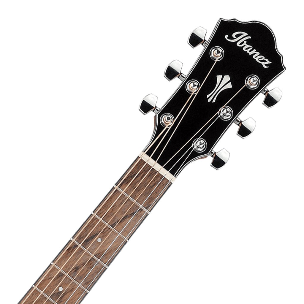 Ibanez AEG50 DHH Acoustic Guitar Acoustic Guitars Sky Music