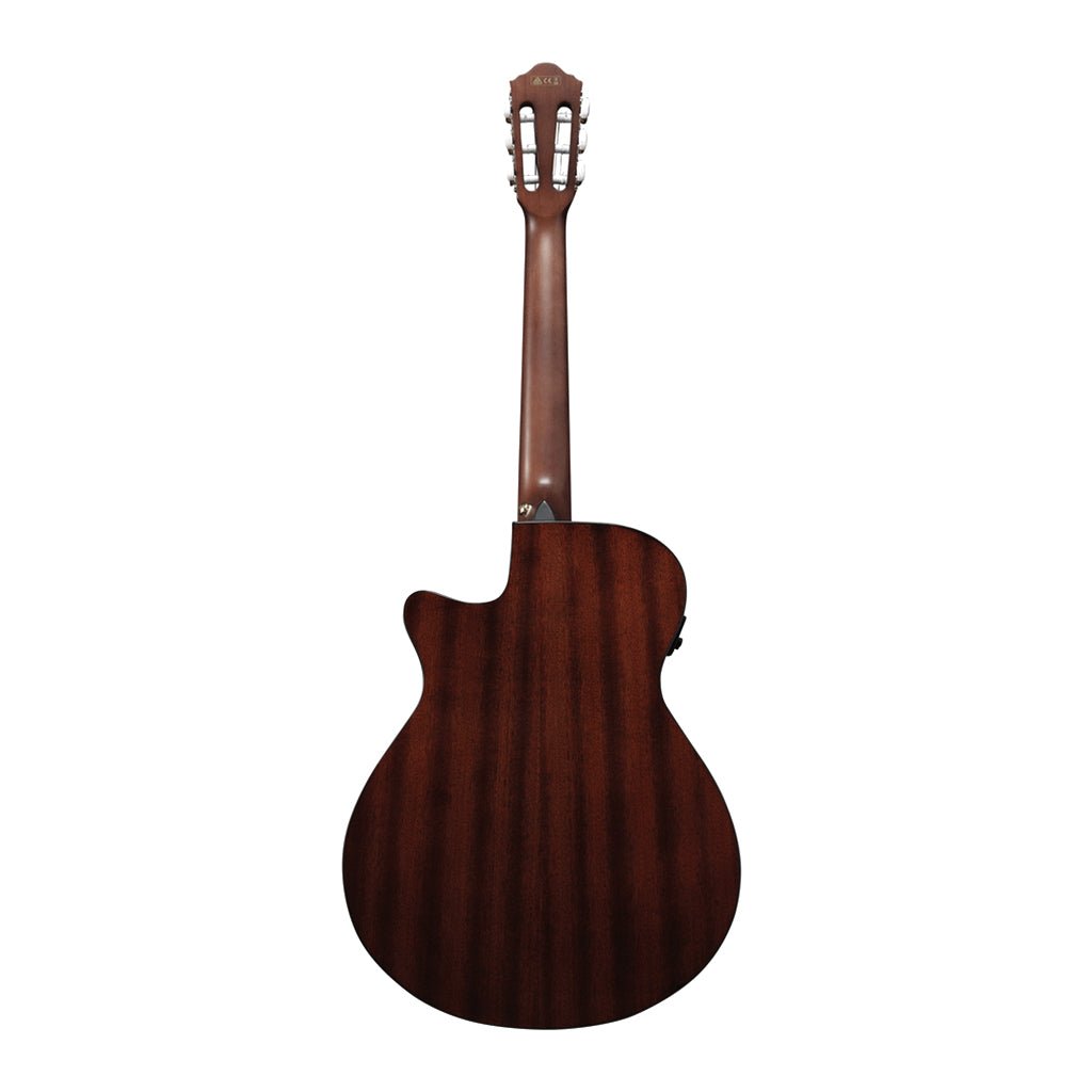 Ibanez AEG50N NT Acoustic Guitar Acoustic Guitars Sky Music