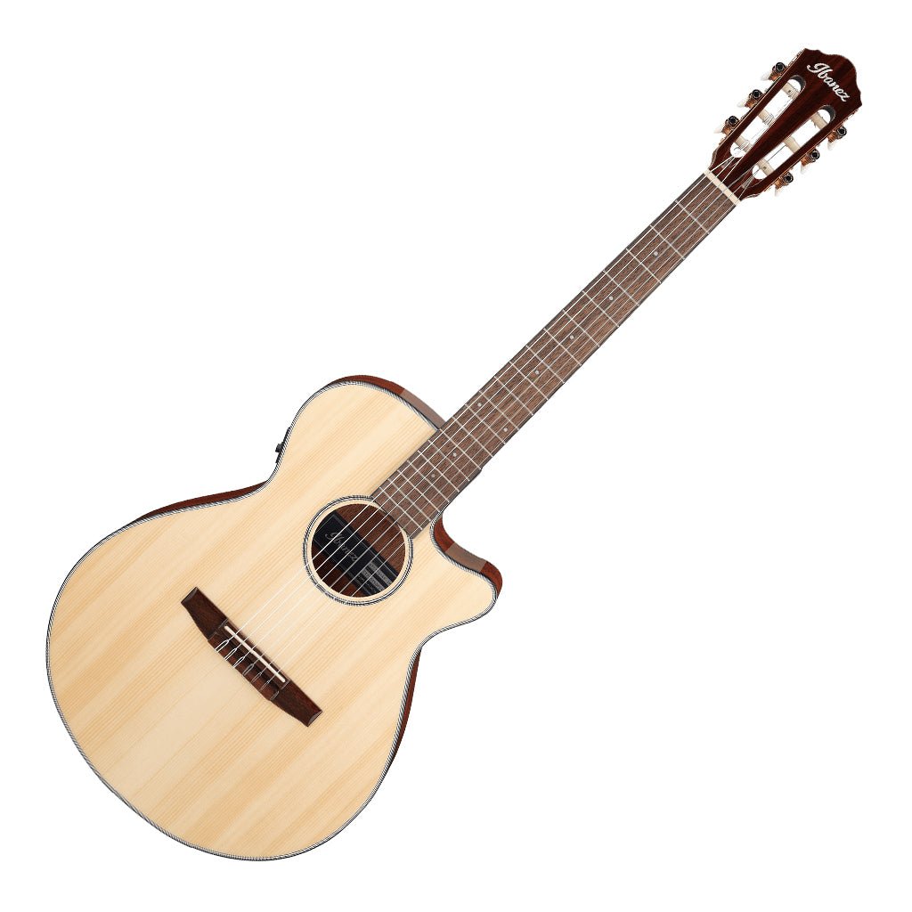 Ibanez AEG50N NT Acoustic Guitar Acoustic Guitars Sky Music