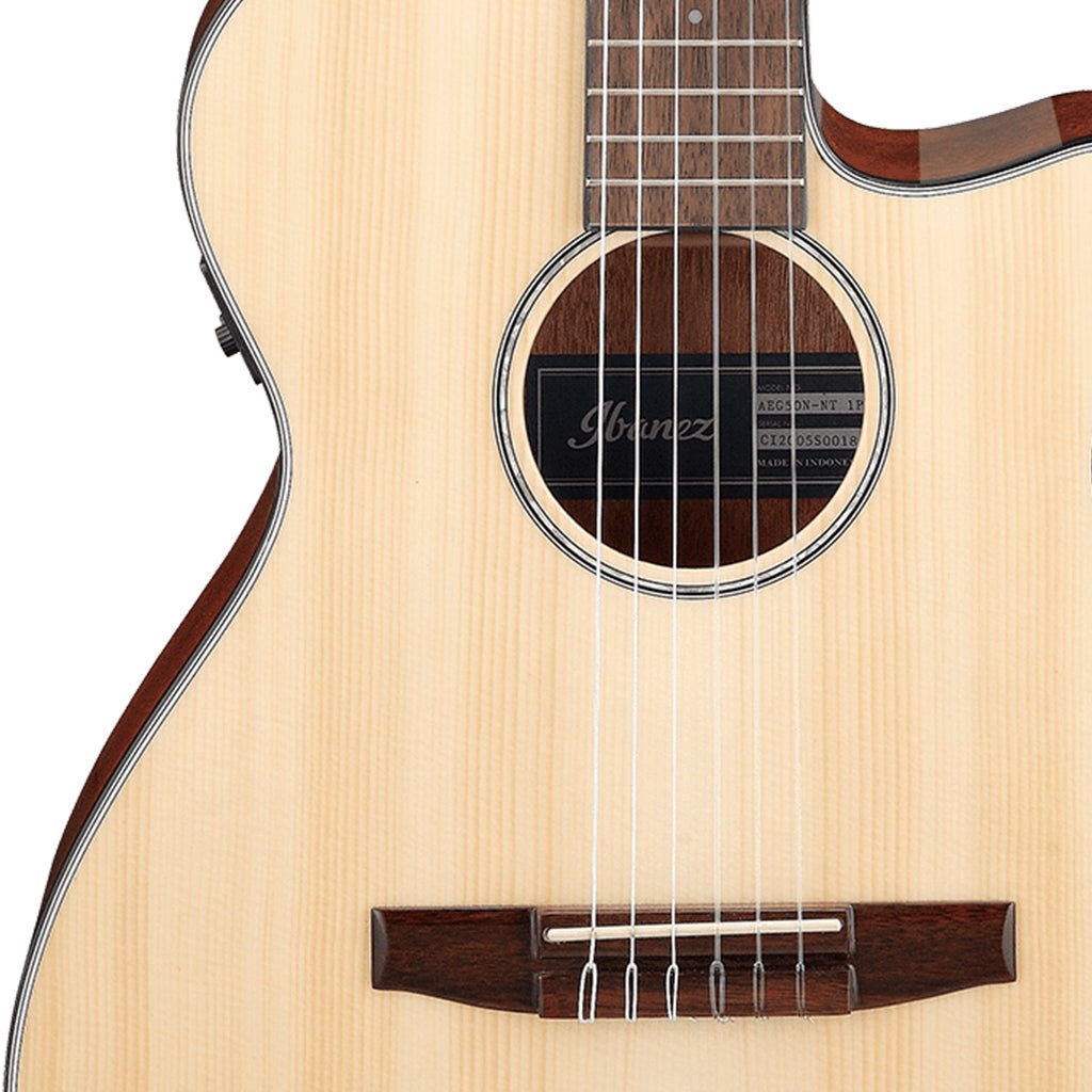 Ibanez AEG50N NT Acoustic Guitar Acoustic Guitars Sky Music