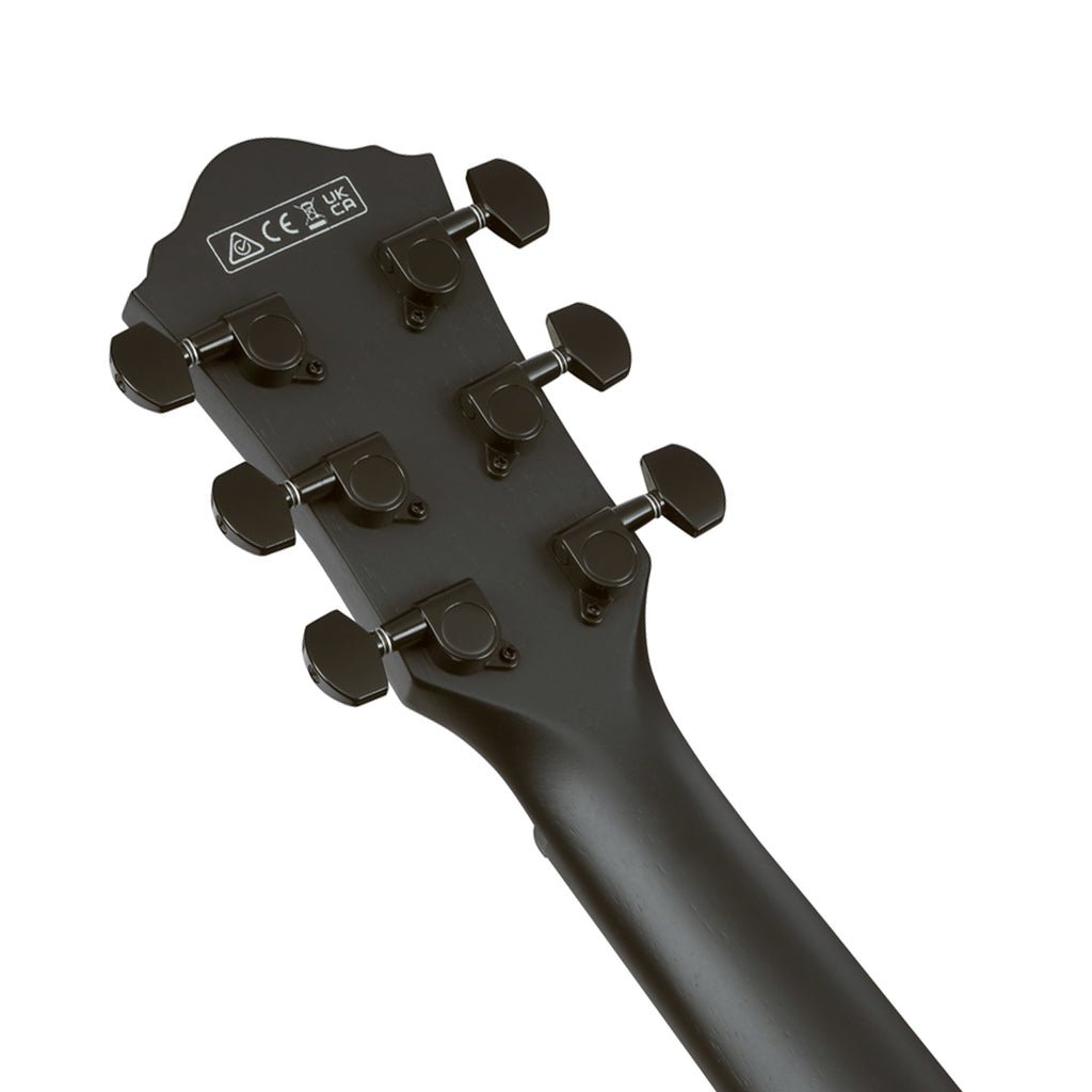 Ibanez AEG621 Acoustic Guitar w/Pickup - Black Out Acoustic Guitars Sky Music