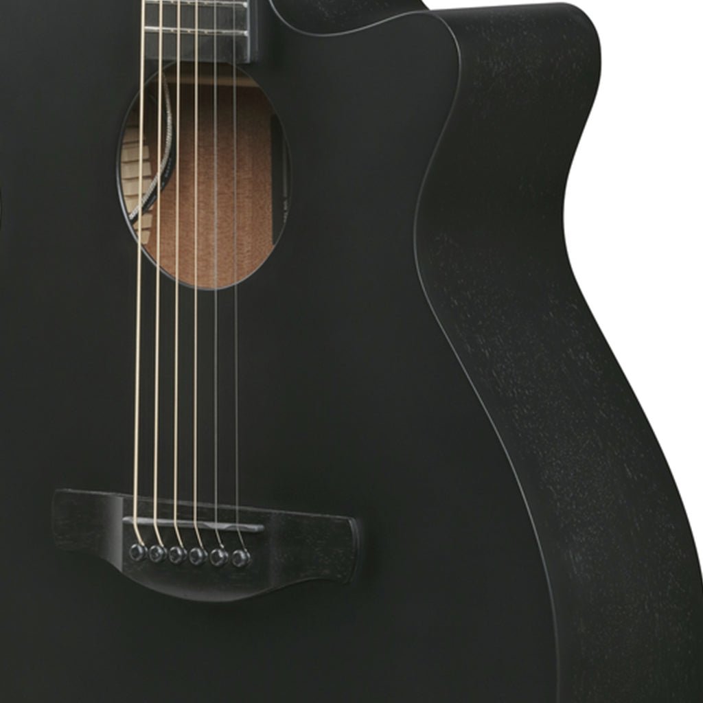 Ibanez AEG621 Acoustic Guitar w/Pickup - Black Out Acoustic Guitars Sky Music