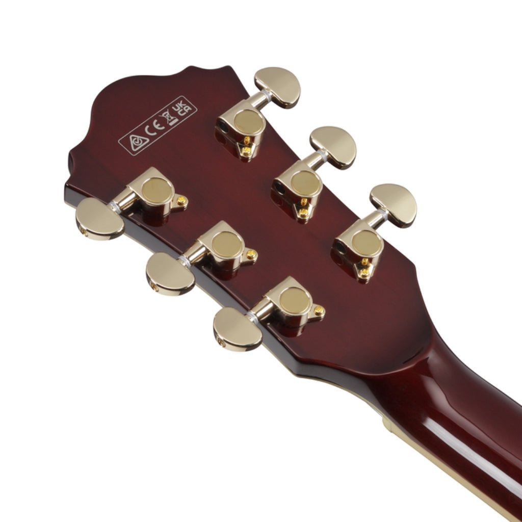 Ibanez AG95KNT Electro Acoustic Guitar Natural Electric Guitars Sky Music