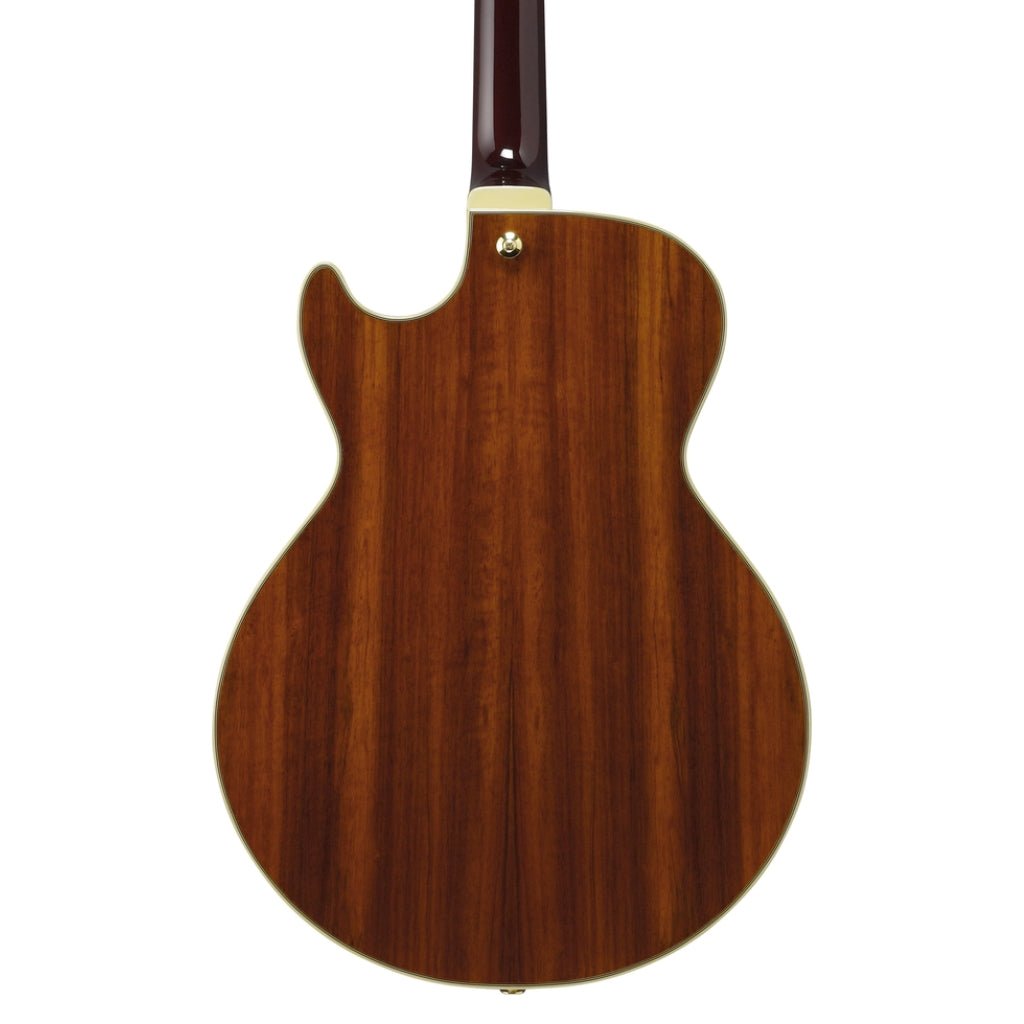 Ibanez AG95KNT Electro Acoustic Guitar Natural Electric Guitars Sky Music