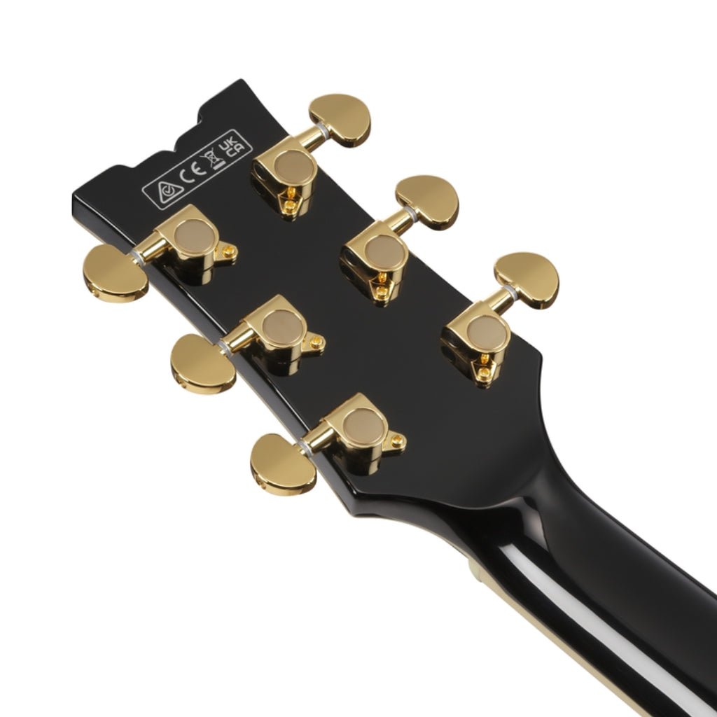 Ibanez AM73G Electric Guitar - Black Electric Guitars Sky Music