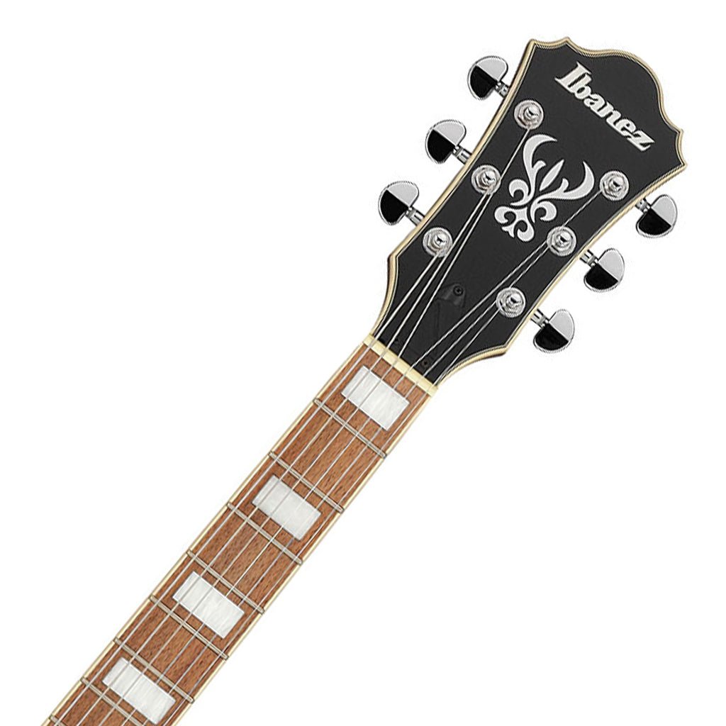 Ibanez AS73FM TIF Electric Guitar Electric Guitars Sky Music