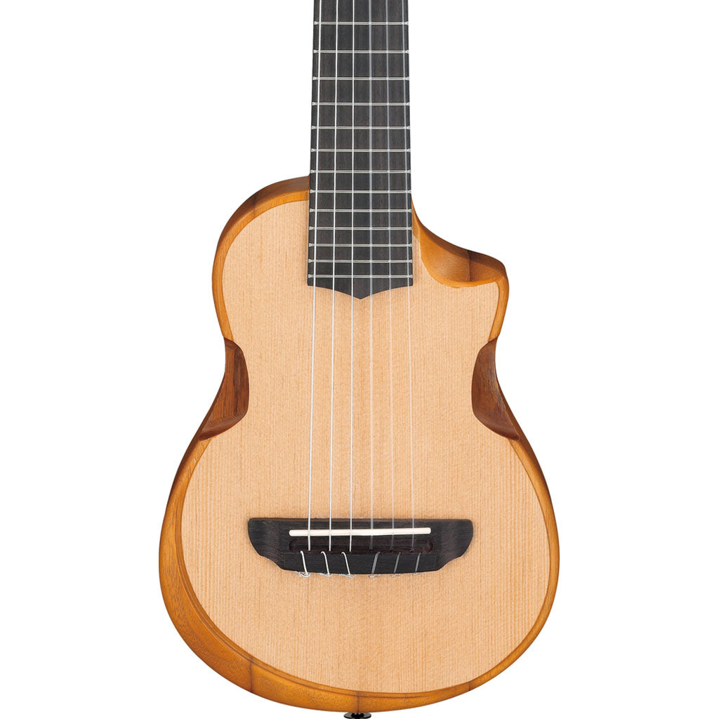 Ibanez AUP10NOPN Ukulele Open Pore Natural