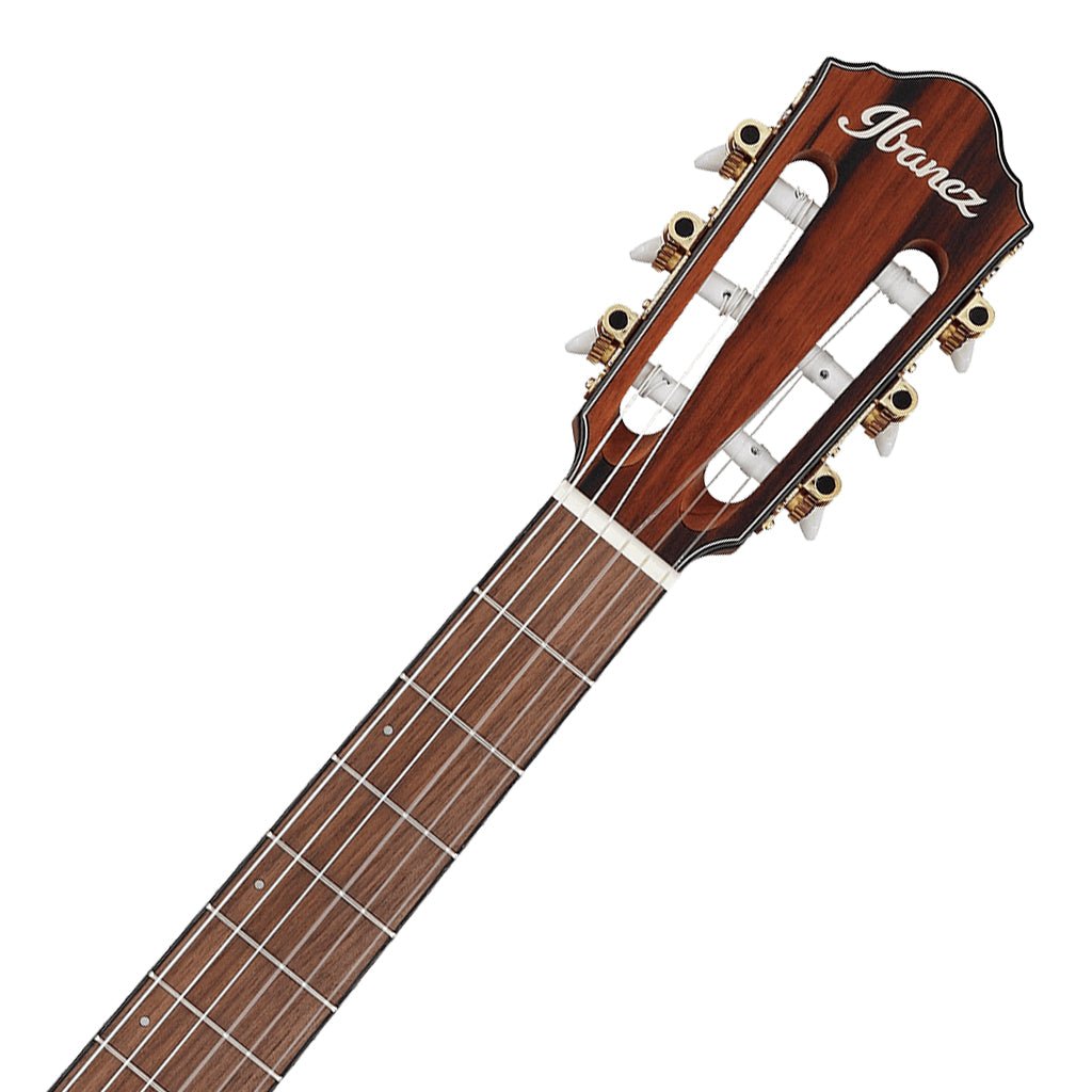 Ibanez FRH10N Brown Sunburst Flat Nylon String Guitar Classical Guitars Sky Music