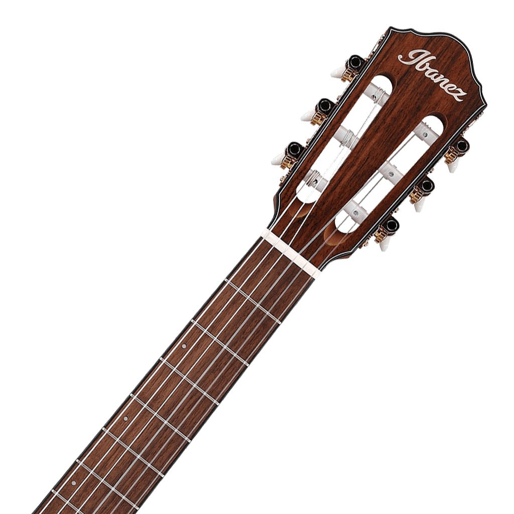 Ibanez FRH10N Rose Gold Metallic Flat Nylon String Guitar Classical Guitars Sky Music