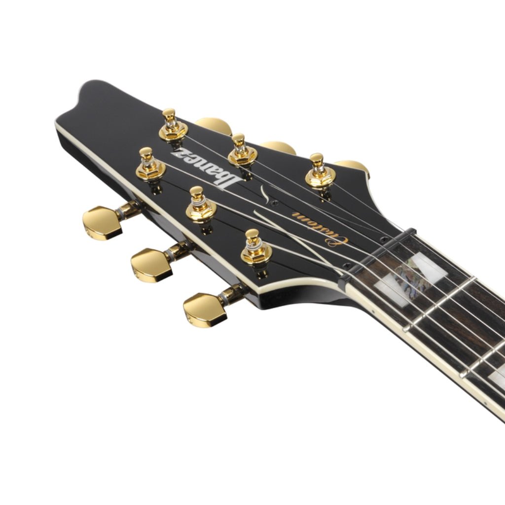 Ibanez FRM350 Paul Gilbert Signature Electric Guitar - Black Electric Guitars Sky Music
