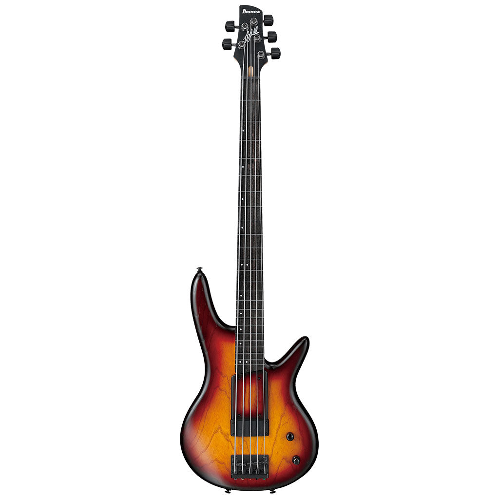 Ibanez GWB205 TQF Gary Willis Premium Electric 5-String Bass With Bag (Pgpbb)