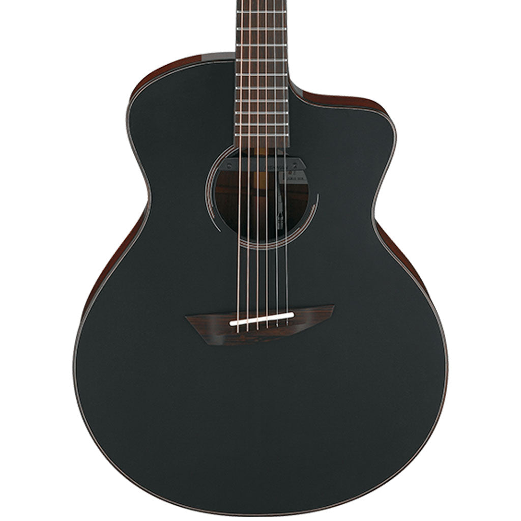 Ibanez JGM10 BSN JON GOMM Acoustic Guitar W/Case