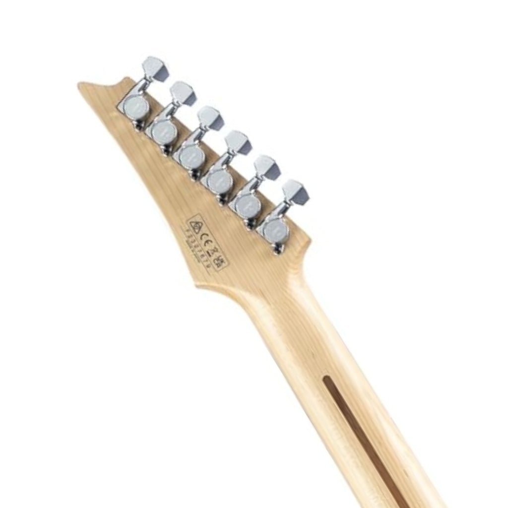 Ibanez JS3CR Joe Satriani Signature - Chrome Boy Electric Guitars Sky Music