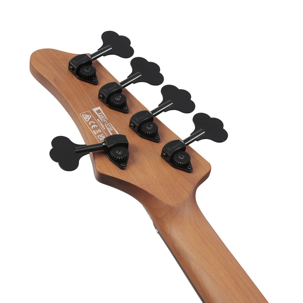 Ibanez MDM1005 5-String Electric Bass - Midnight Arctic Ocean Matte Bass Guitars Sky Music