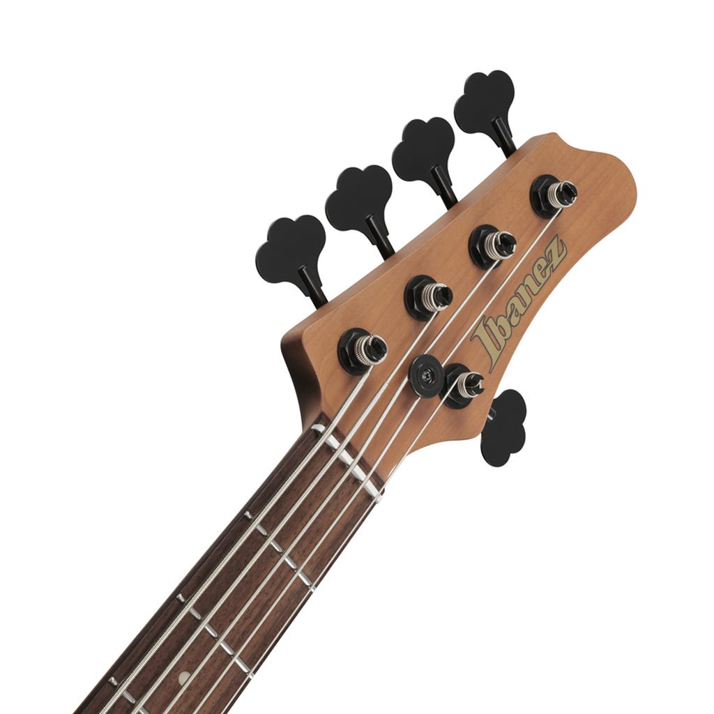 Ibanez MDM1005 5-String Electric Bass - Midnight Arctic Ocean Matte Bass Guitars Sky Music