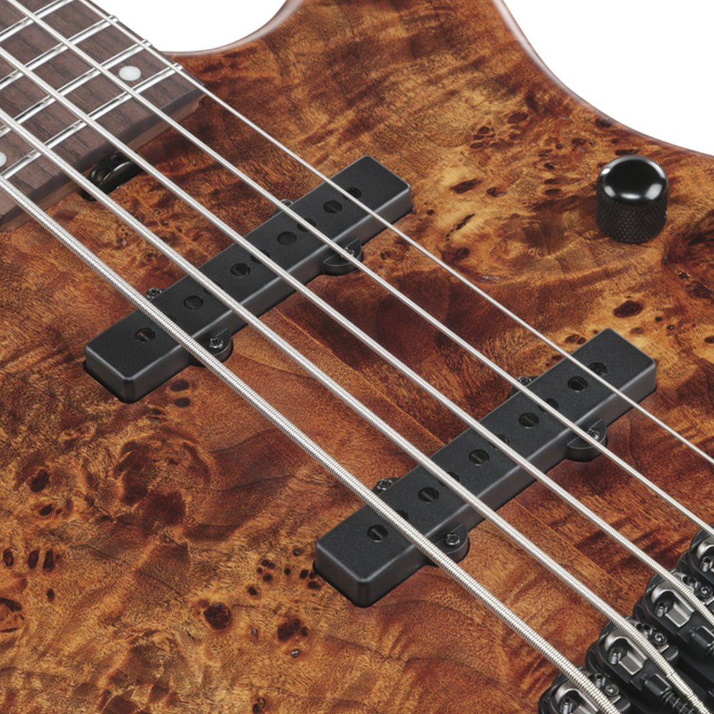 Ibanez MDM1605 5-String Electric Bass - Natural Mocha Low Gloss Bass Guitars Sky Music