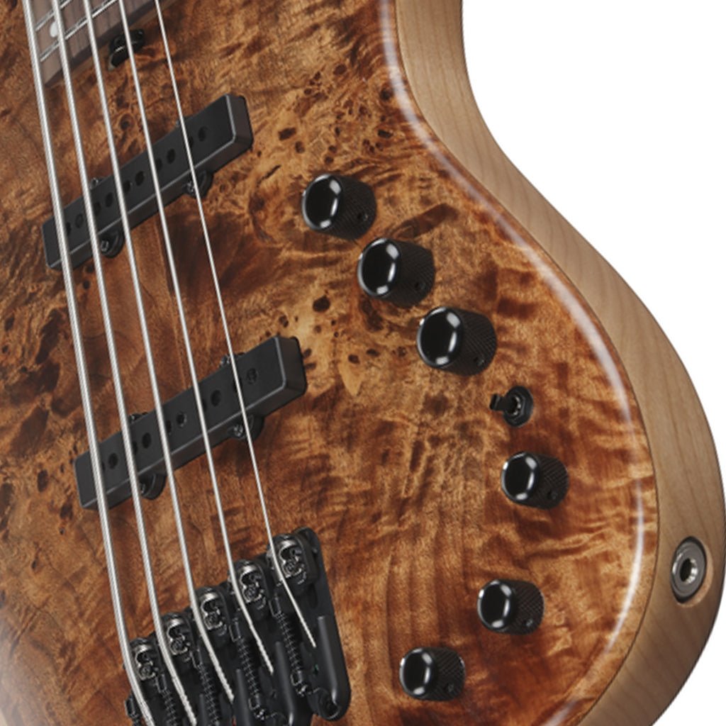 Ibanez MDM1605 5-String Electric Bass - Natural Mocha Low Gloss Bass Guitars Sky Music