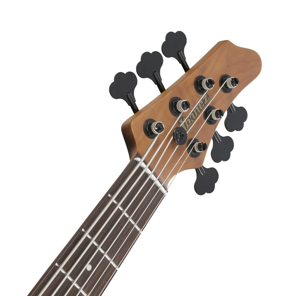 Ibanez MDM1606 6-String Electric Bass - Natural Mocha Low Gloss Bass Guitars Sky Music