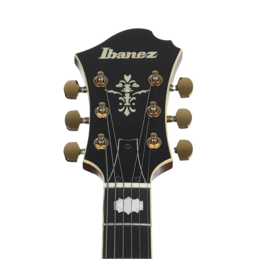 Ibanez PM3C Pat Metheny Signature Electric Guitar - Natural Amber Low Gloss Electric Guitars Sky Music