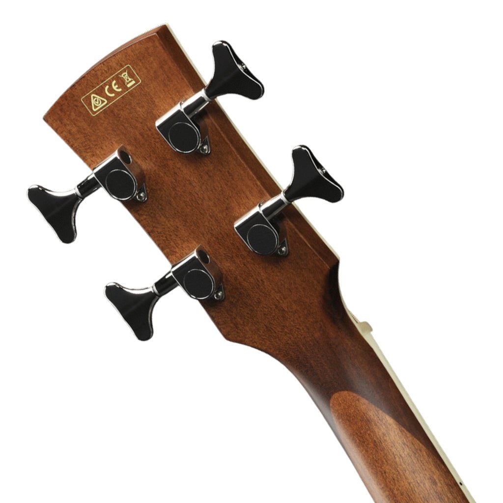 Ibanez PNB14E OPN Acoustic Bass Guitar Bass Guitars Sky Music