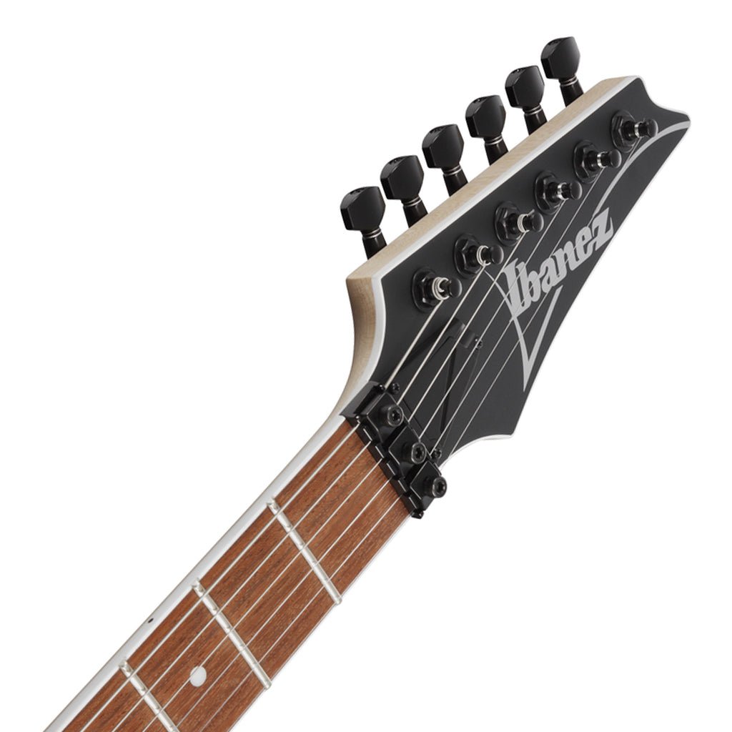 Ibanez RG420EXBKF Electric Guitar Black Flat Electric Guitars Sky Music