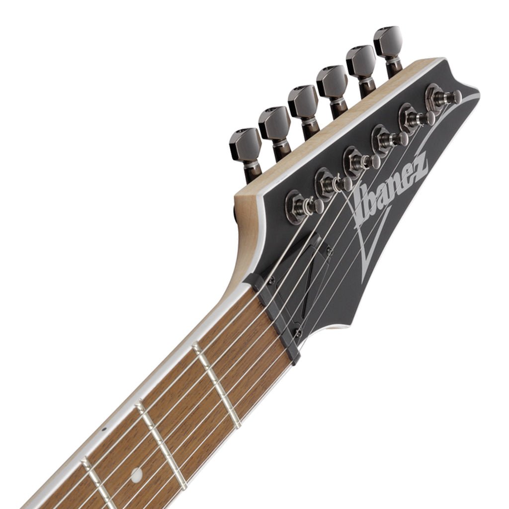 Ibanez RG421SSEM Electric Guitar Sea Shore Matte Electric Guitars Sky Music