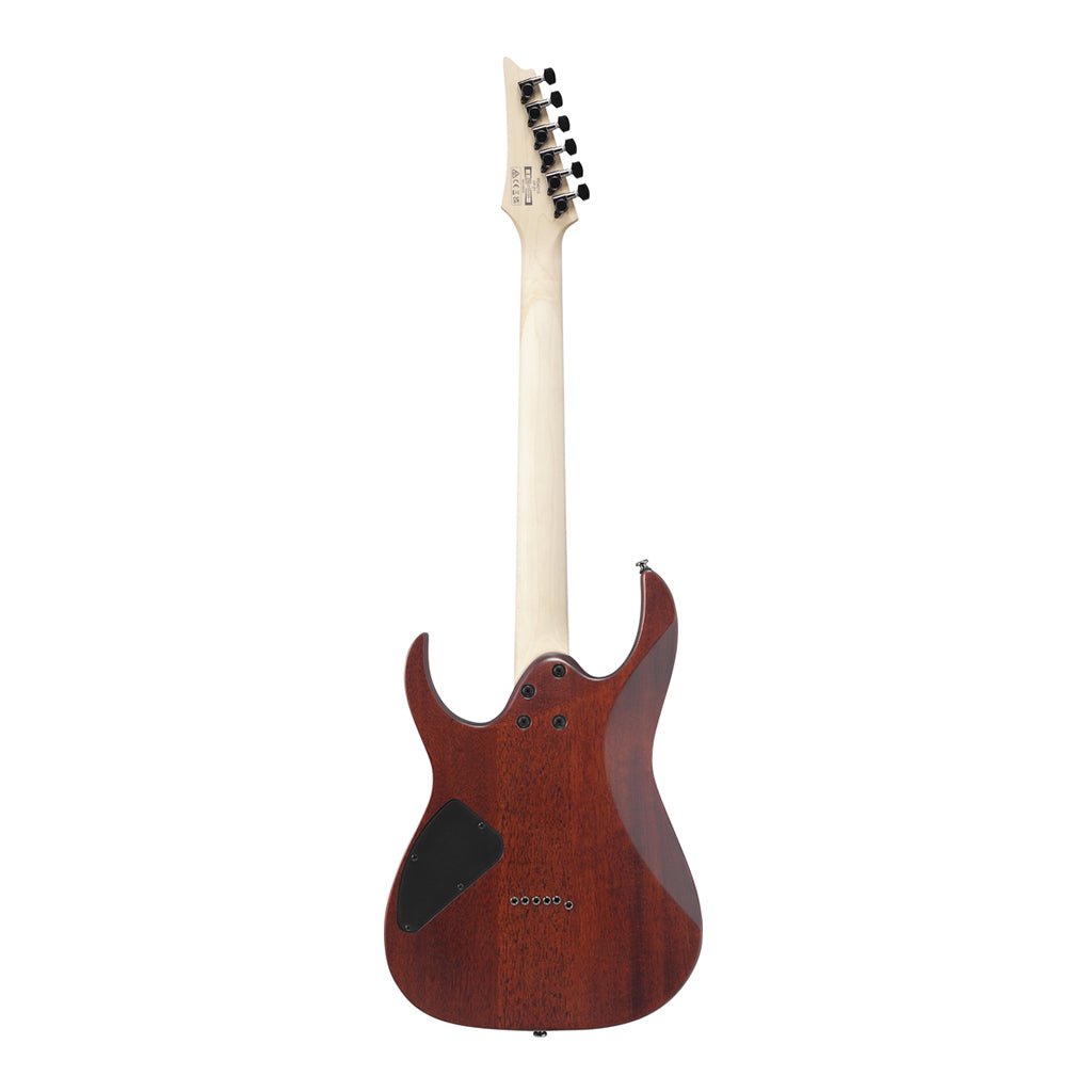 Ibanez RG421SSEM Electric Guitar Sea Shore Matte Electric Guitars Sky Music