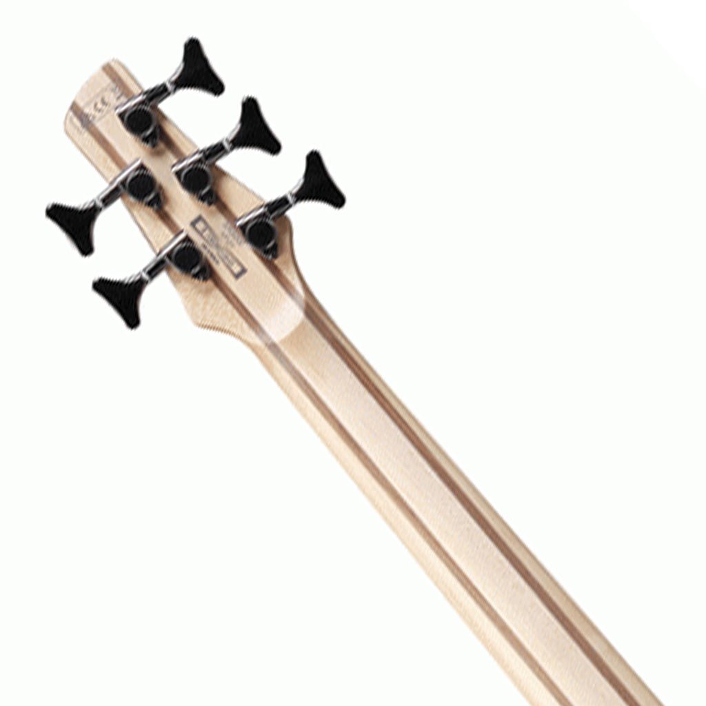 Ibanez SR305E CUB Electric 5-String.Bass Bass Guitars Sky Music
