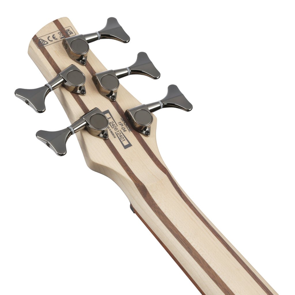 Ibanez SR305E Deep Ocean Metallic 5 String Electric Bass Bass Guitars Sky Music