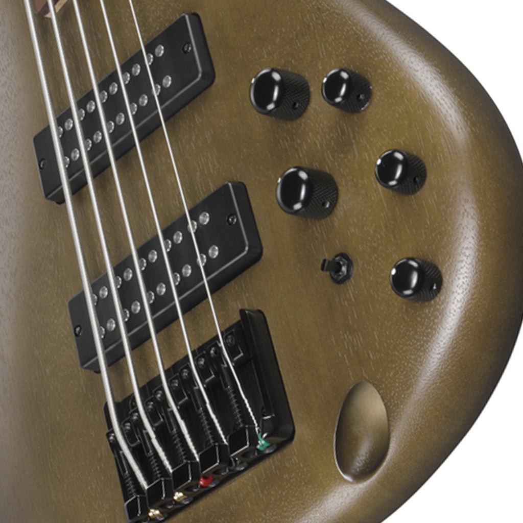 Ibanez SR305EB Walnut Flat 5 String Electric Bass Bass Guitars Sky Music