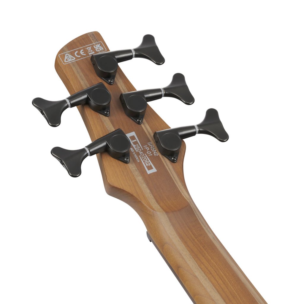 Ibanez SR505N 5-String Electric Bass Nordstrand Pickups - Midnight Arctic Ocean Matte Bass Guitars Sky Music