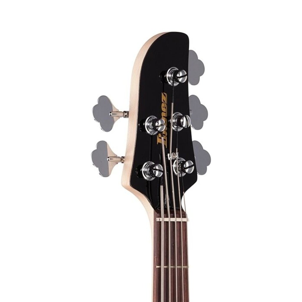 Ibanez TMB105BK Talman 5 String Electric Bass Guitar Black Bass Guitars Sky Music