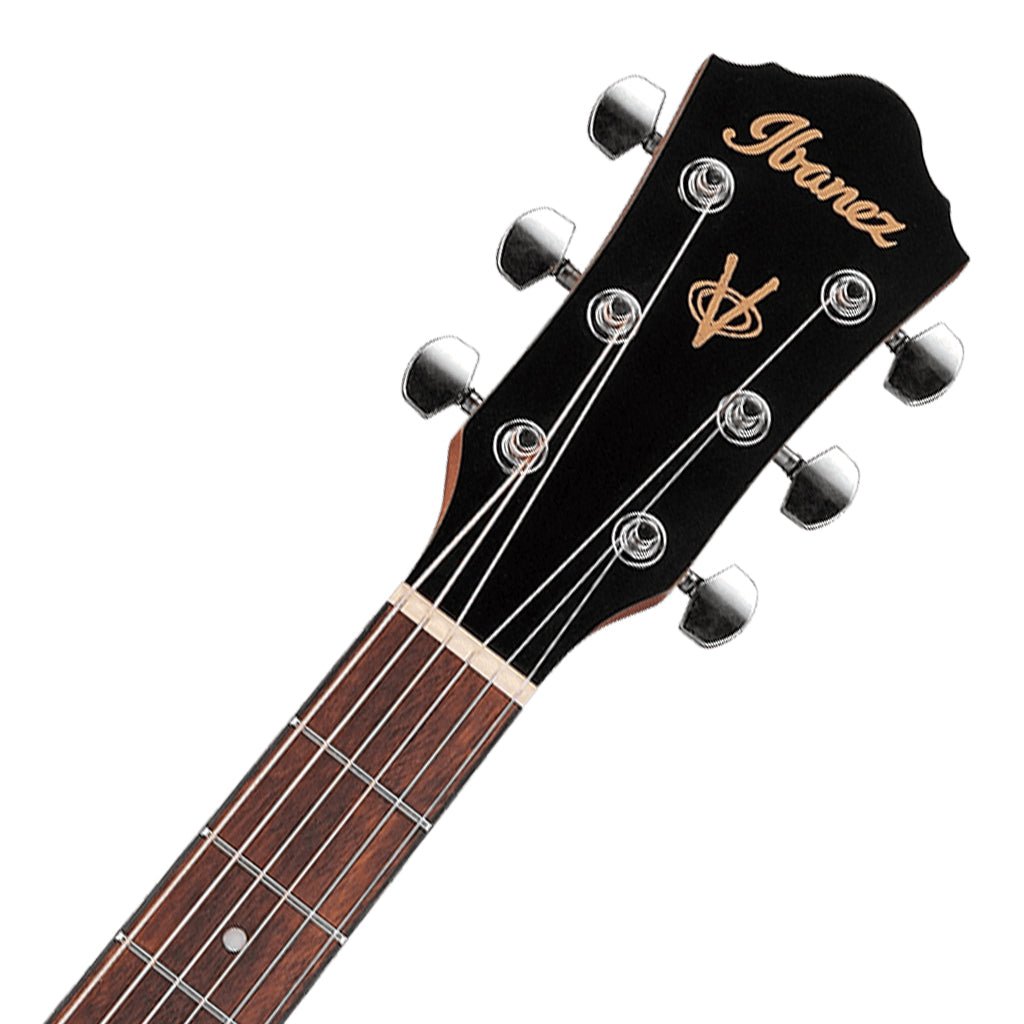 Ibanez V40 OPN Acoustic Guitar Acoustic Guitars Sky Music