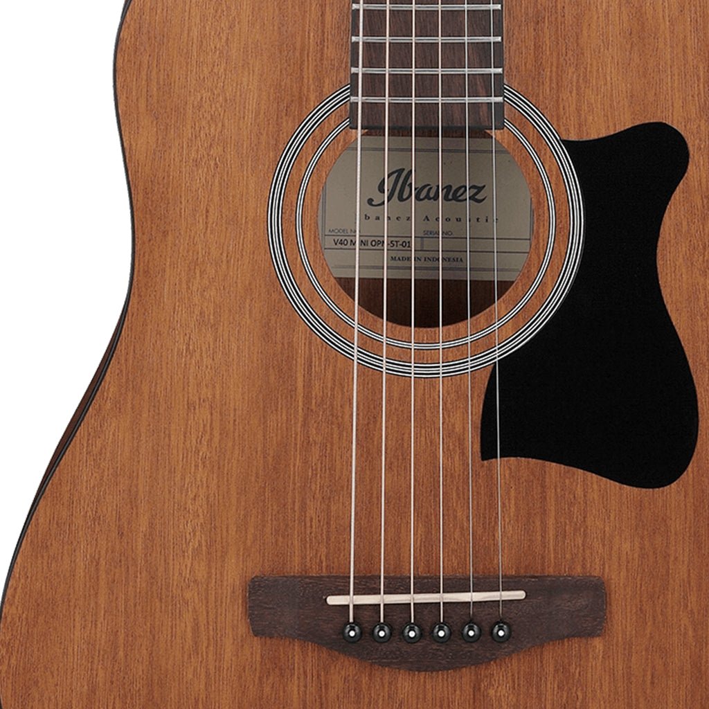 Ibanez VC44 OPN Acoustic Guitar Acoustic Guitars Sky Music