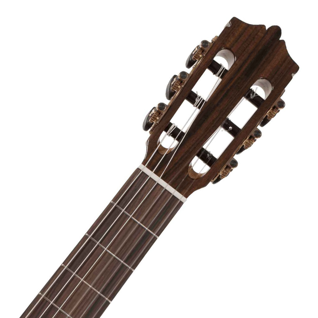 Katoh MCG20SEQ Classical Cutaway