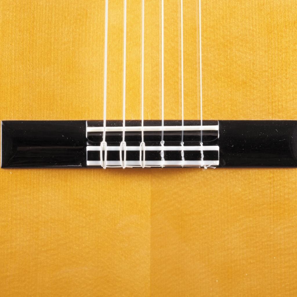 Katoh MCG115S Spruce Top Classical Guitar with Case Classical Guitars Sky Music