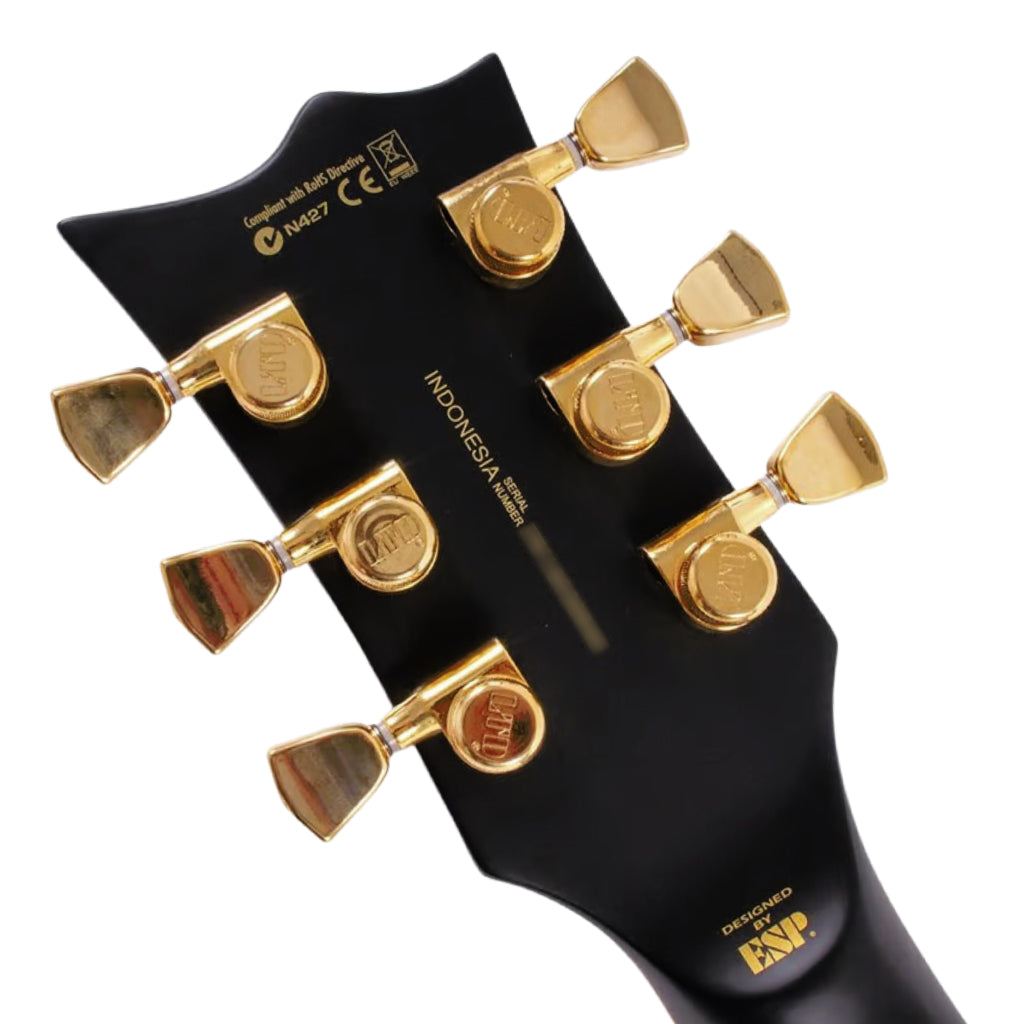 LTD EC Series Elec with Duncans Vint Black