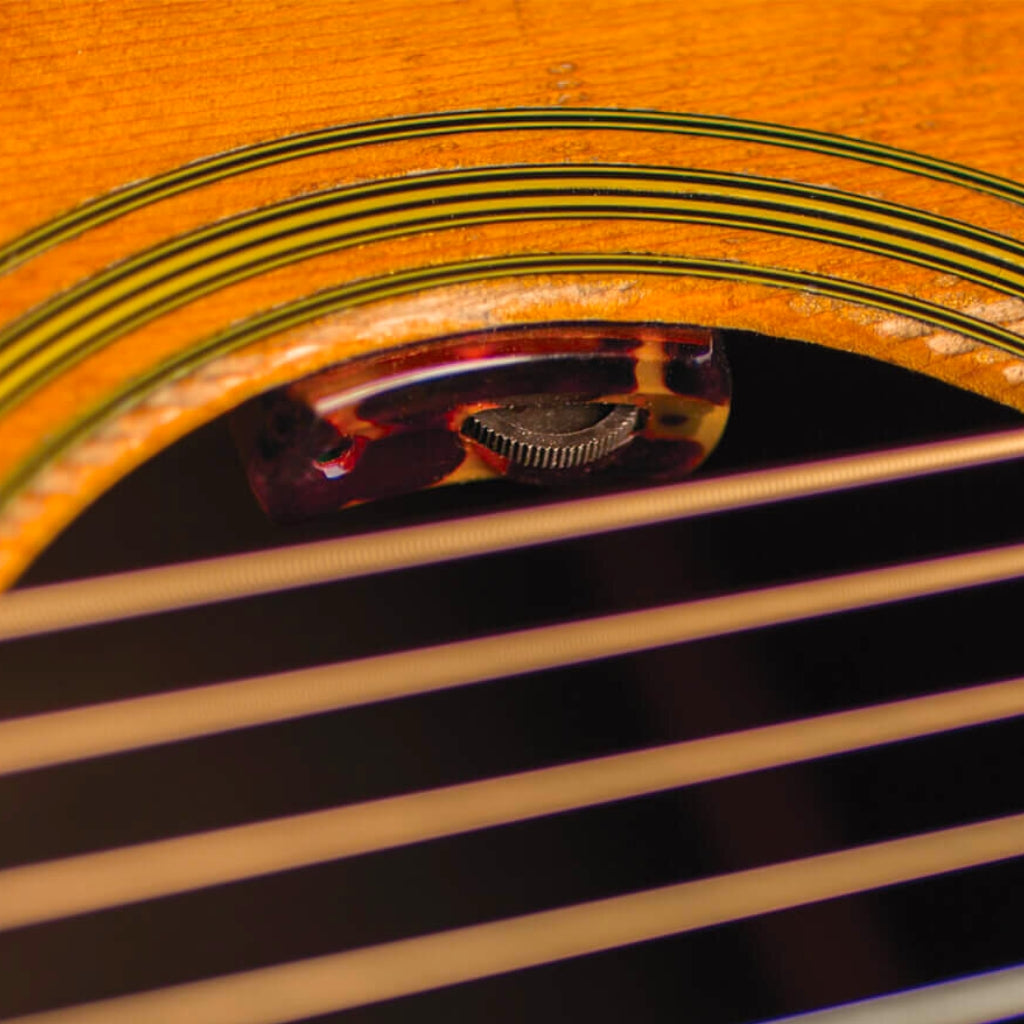 LR Baggs LYRIC-C Classical Microphone Guitar System